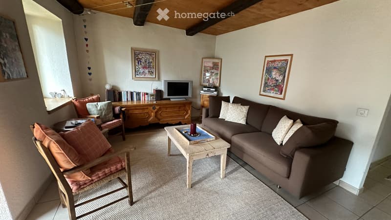 Casa ticinese con due appartamenti ristrutturati (2)