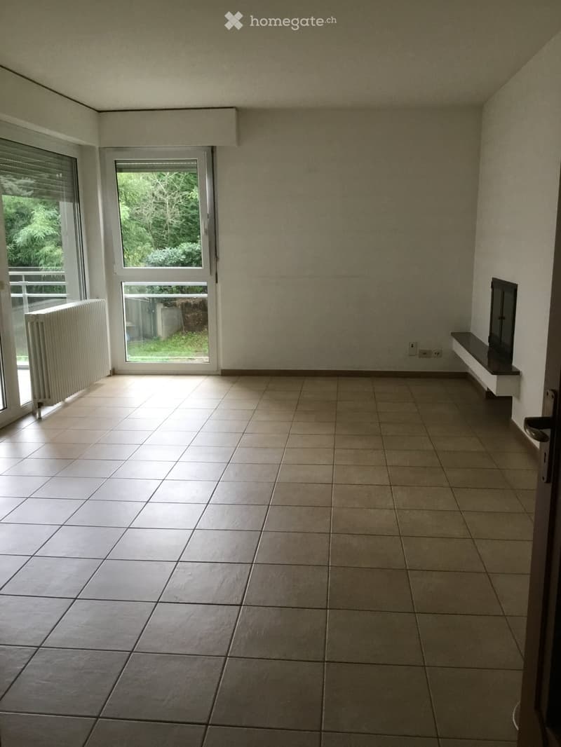 Vendo 3.5 Locale 50mt centro Paradiso con Piscina, a Reddito (2)