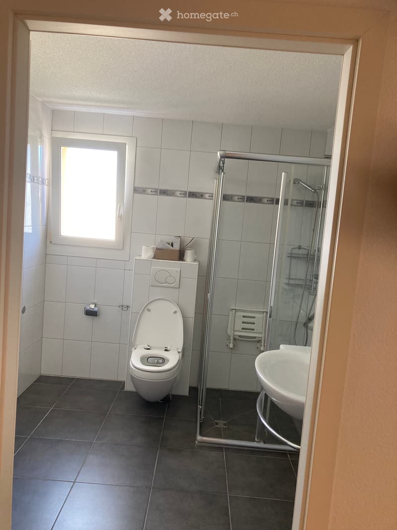 3.5 Zimmerwohnung mit offener Küche grosser Balkon 25 m2 (3)
