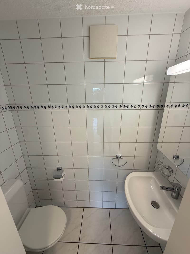 3.5-Zimmer-Gartenwohnung mit und sonnigem Sitzplatz (5)