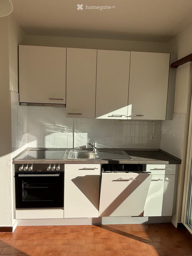 Affittasi ampio 4.5 locali ad Arbedo con balcone (4)