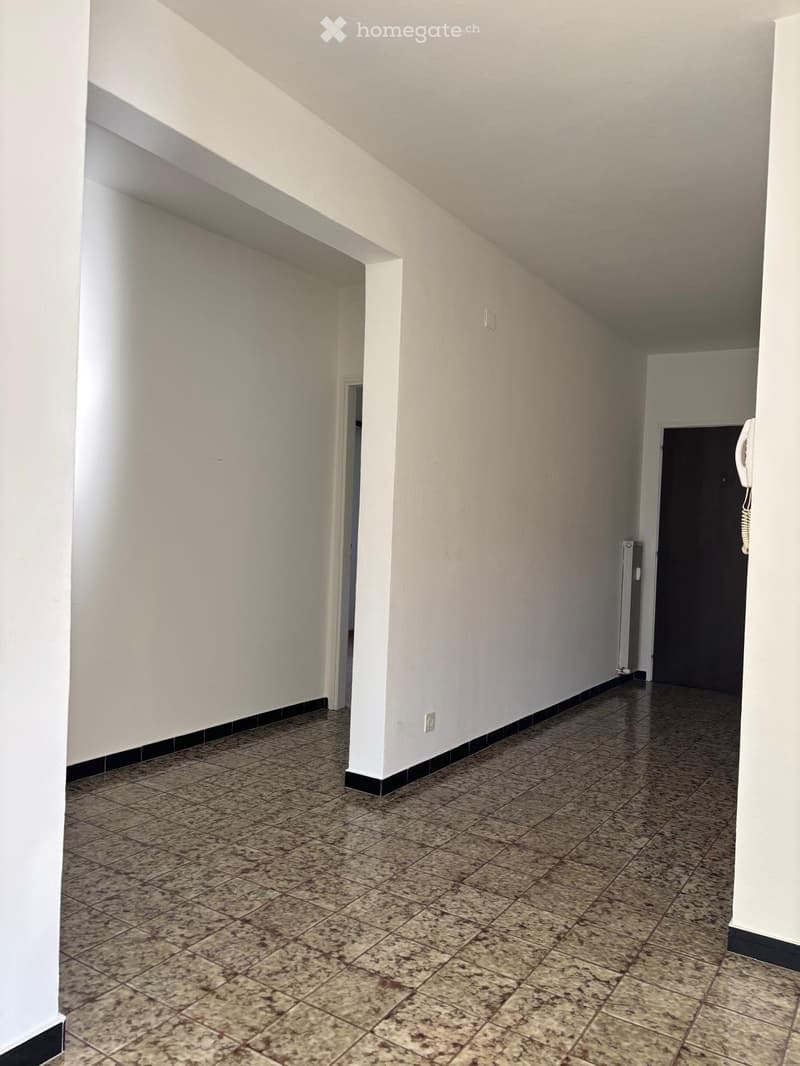 Affittasi ampio 4.5 locali ad Arbedo con balcone (7)