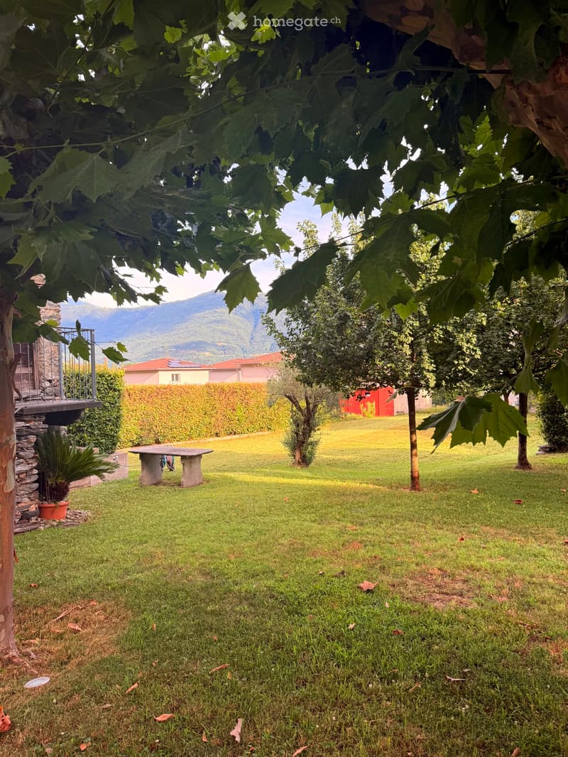 Cercasi subentrante per accogliente appartamento Cugnasco (1)