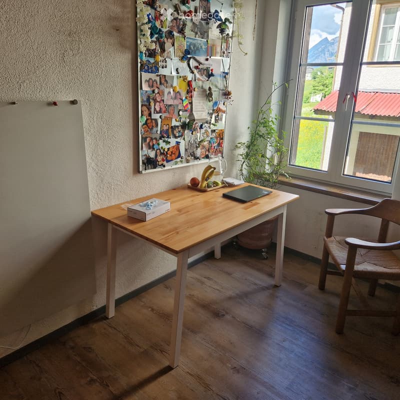 WOHNUNG 4 1/2 ZI.  580.- (3)