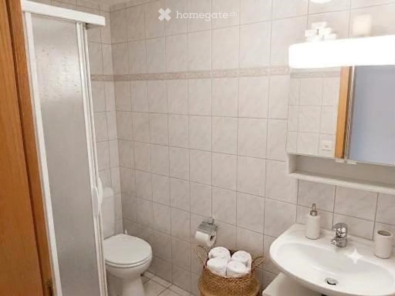 Grosszügige 4.5 Zi.-Wohnung zu vermieten (5)