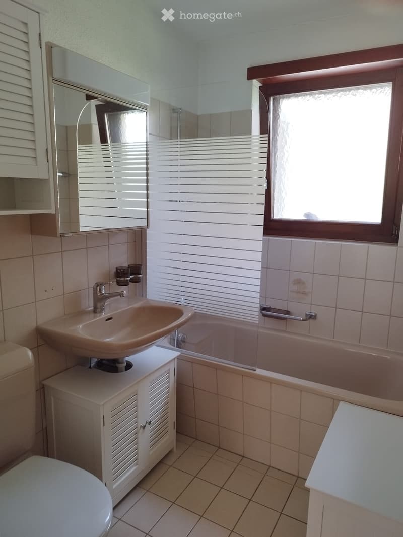 2.5-Zimmer-Wohnung mit Terrasse (2)