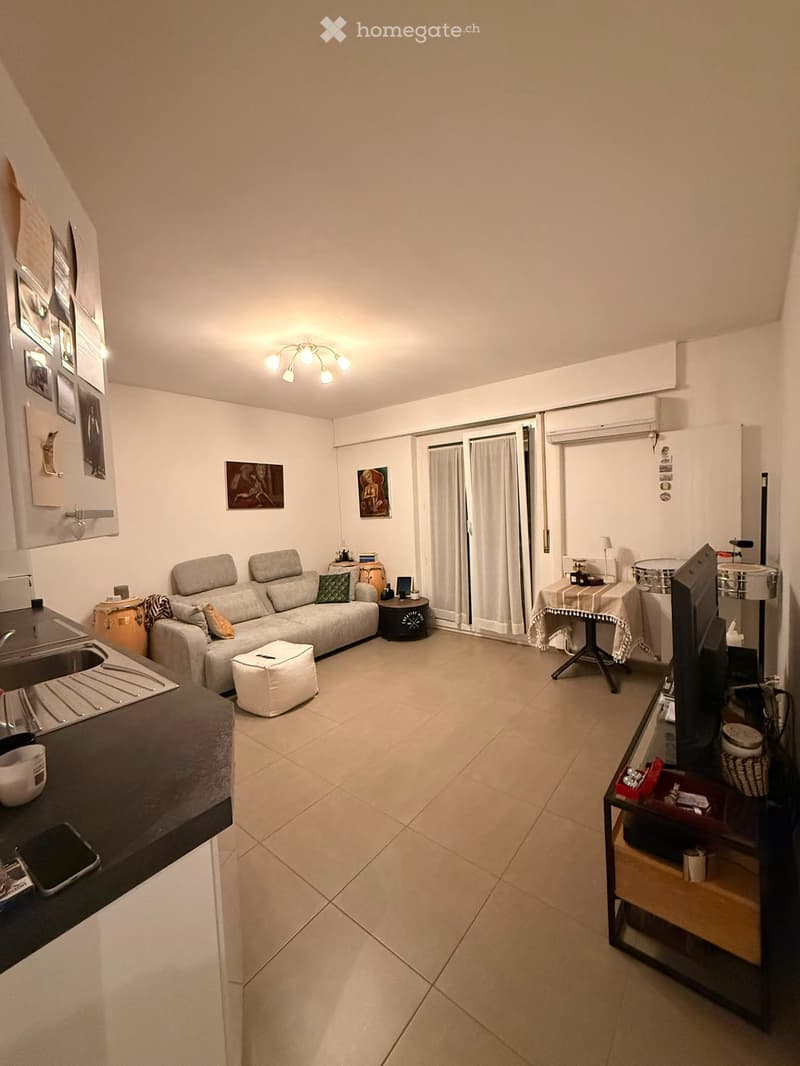 Appartamento 2.5 locali ammobiliato (1)