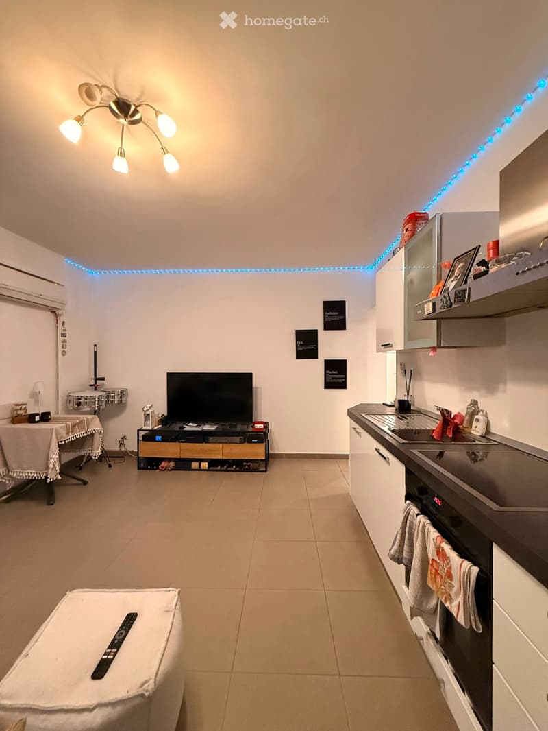 Appartamento 2.5 locali ammobiliato (3)
