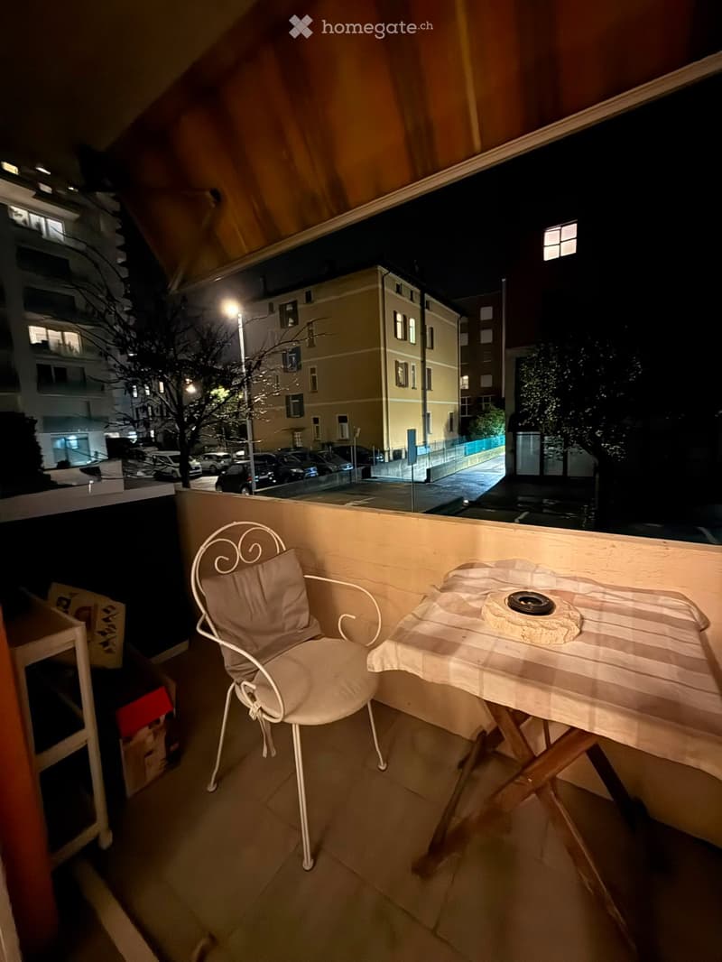 Appartamento 2.5 locali ammobiliato (5)