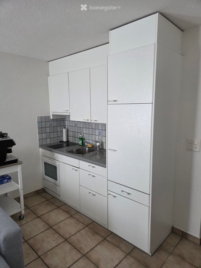 1-Zimmer Wohnung mit Gartensitzplatz (4)