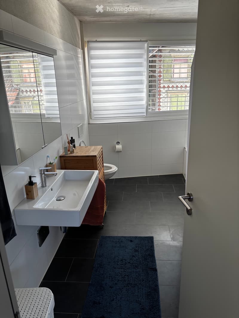 2,5 Zi. Wohnung Diepoldsau (3)