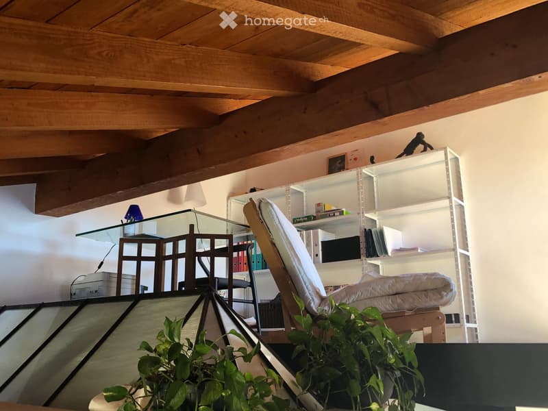 Casa di 4 locali su due livelli + soppalco (4)