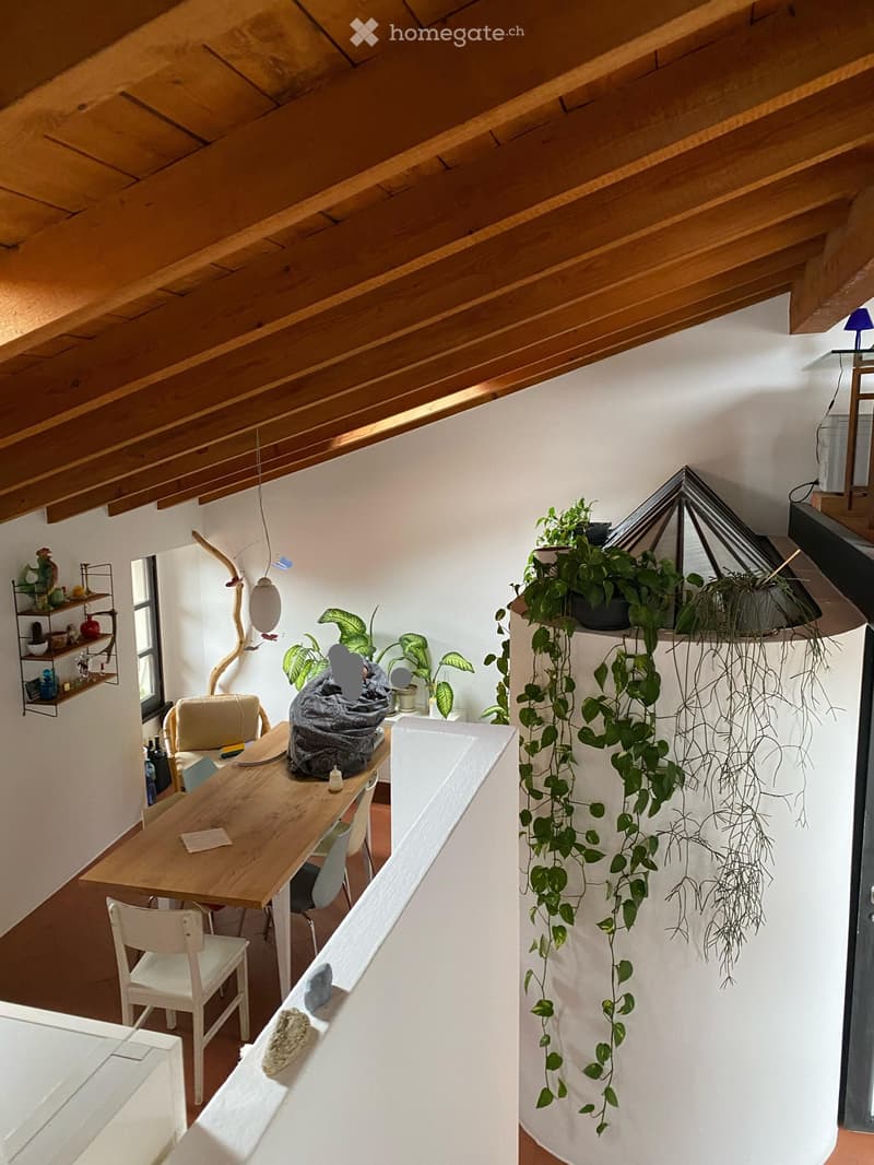 Casa di 4 locali su due livelli + soppalco (3)