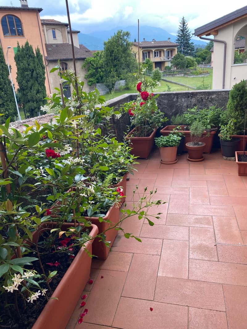 Casa di 4 locali su due livelli + soppalco (5)