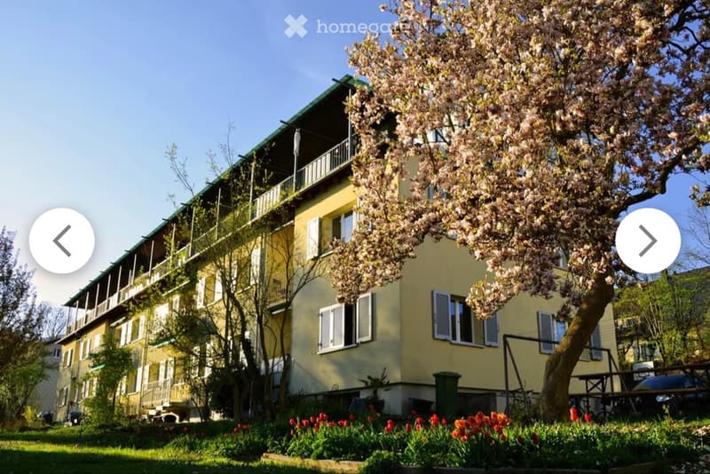 Nachmieter gesucht für 4-Zi Wohnung in Solothurn (1)