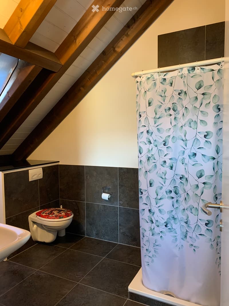 Gemütliche Dachwohnung (64m2) mit Seeblick (5)