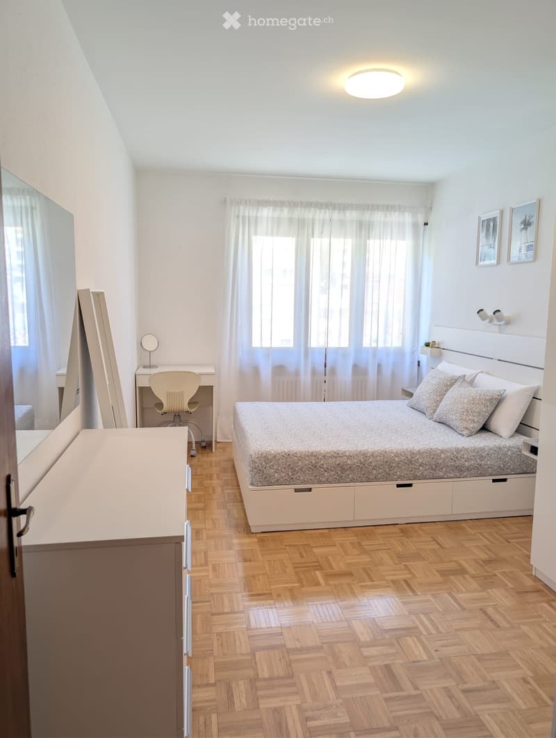 Cercasi subentrante 2,5 locali Melide (2)