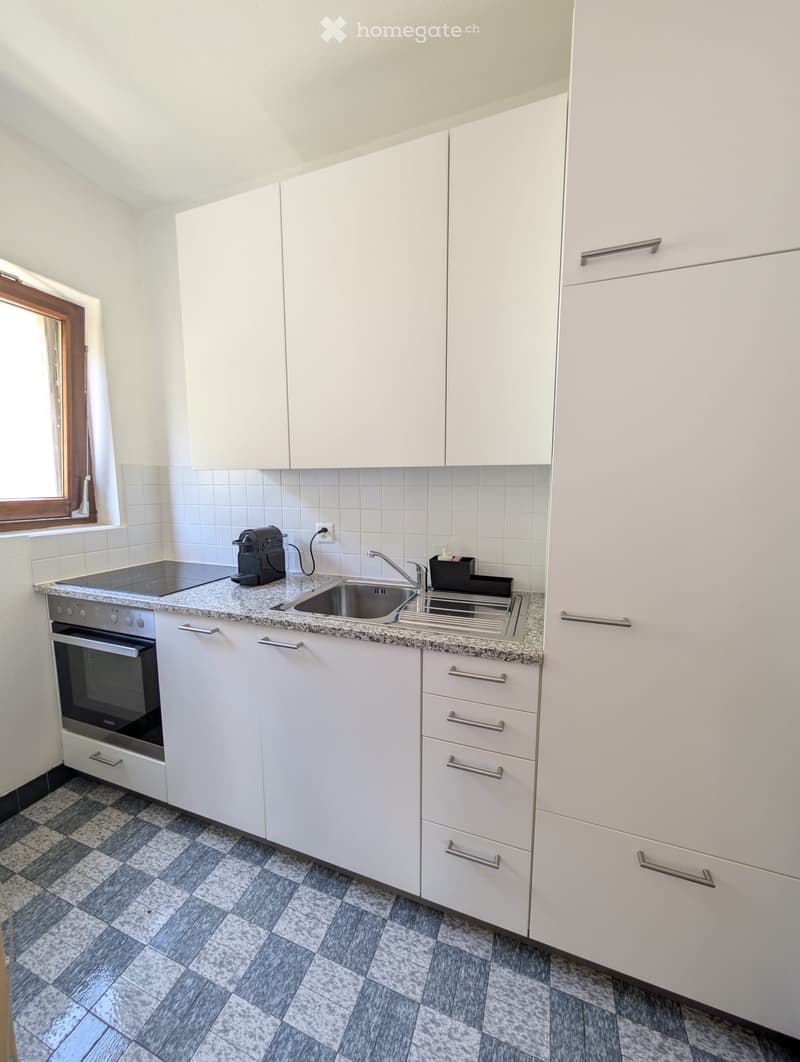 Cercasi subentrante 2,5 locali Melide (5)