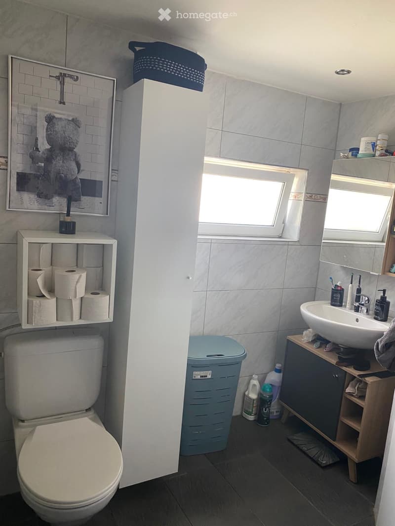 3 1/2 Zimmer Wohnung in 4614 Hägendorf (5)