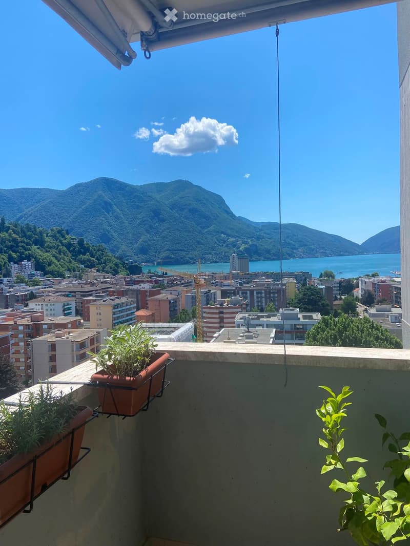 VIGANELLO  SPLENDIDO 2.5 LOCALI  VISTA LAGO (tutto incluso) (4)
