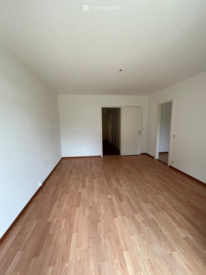 Kleine aber feine 3-Zimmerwohnung in Aarau (5)
