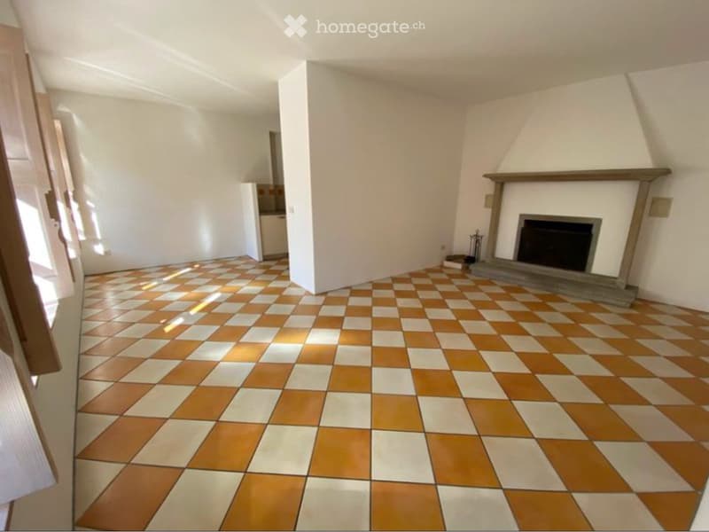 Charmante Tessiner 2.5 Zimmer Wohnung (Erstwohnsitz) (2)