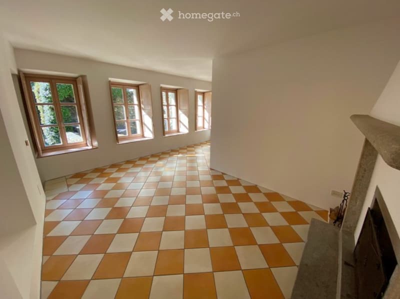 Charmante Tessiner 2.5 Zimmer Wohnung (Erstwohnsitz) (1)