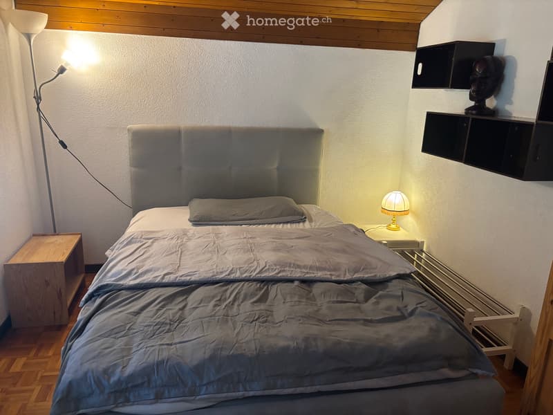 Camera per studenti non fumatori in casa monofamiliare (1)