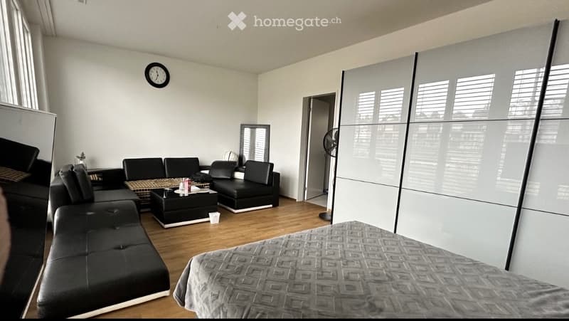 Moderne 4.5-Zimmer-Wohnung (105 m²) in Top-Lage (3)