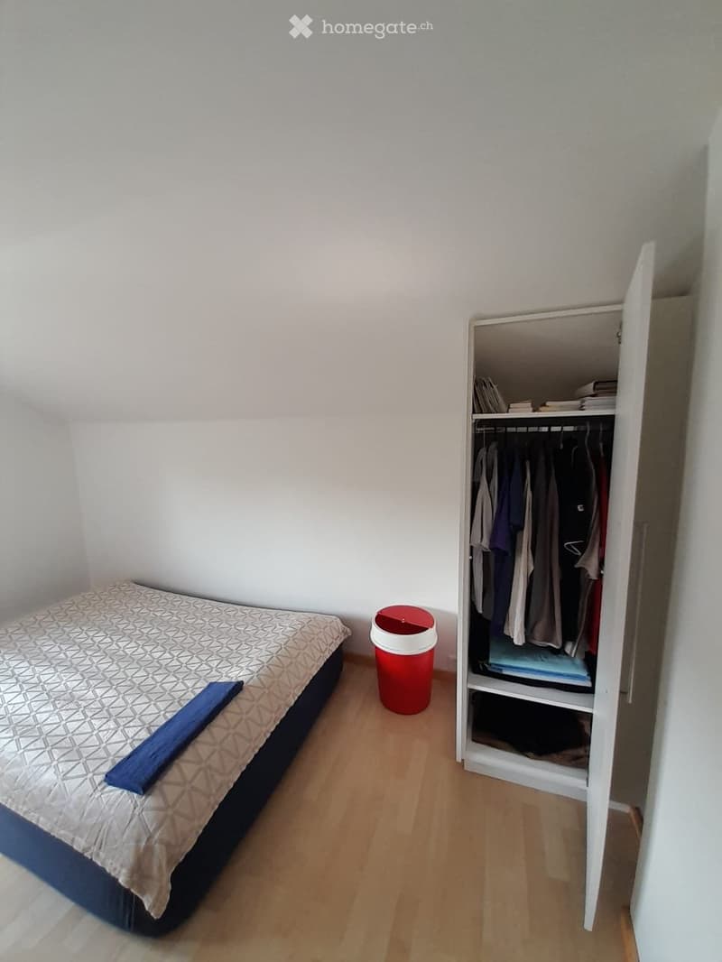 zu vermieten ruhige und helle 1.5 Zimmer Dachwohnung (3)
