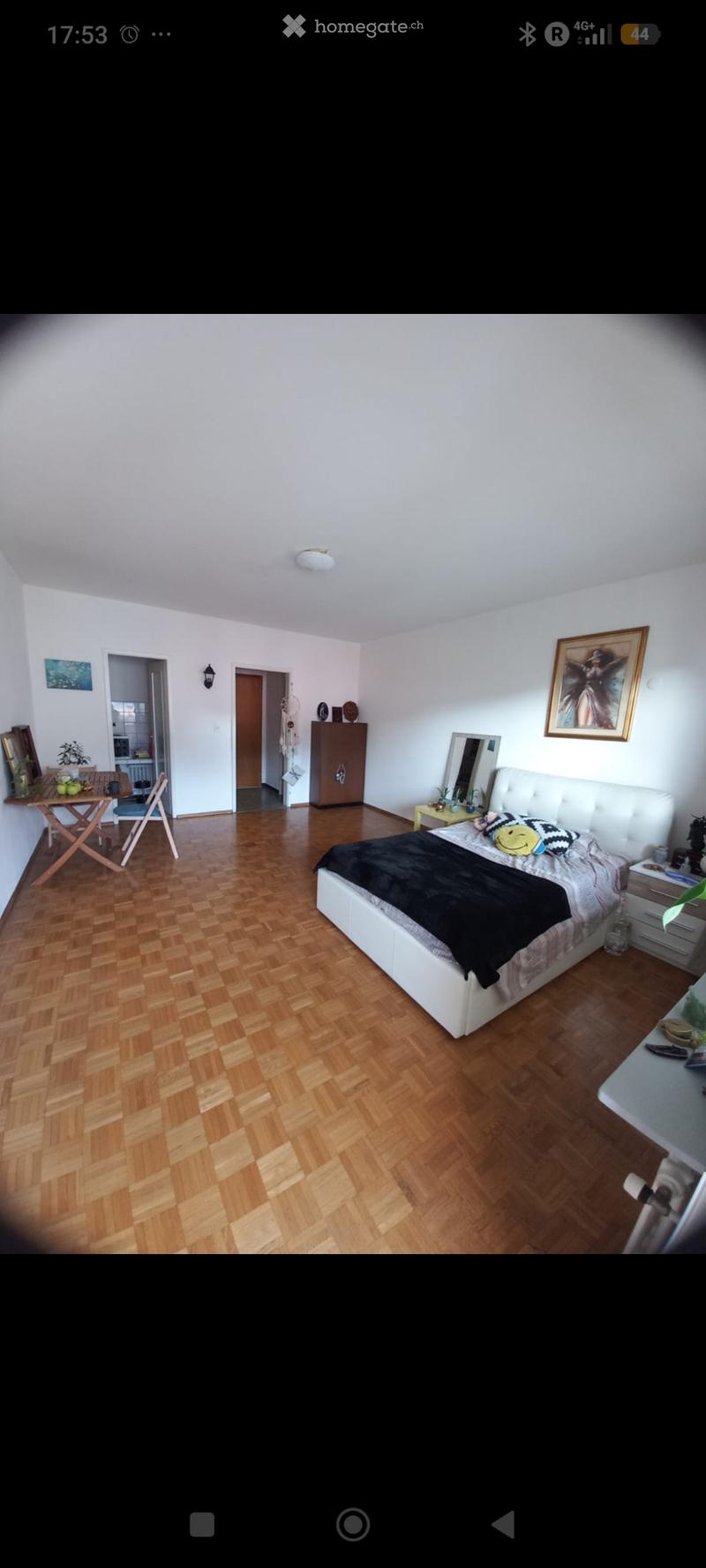 Cercasi subentrante - Monolocale a Locarno Città Vecchia (2)