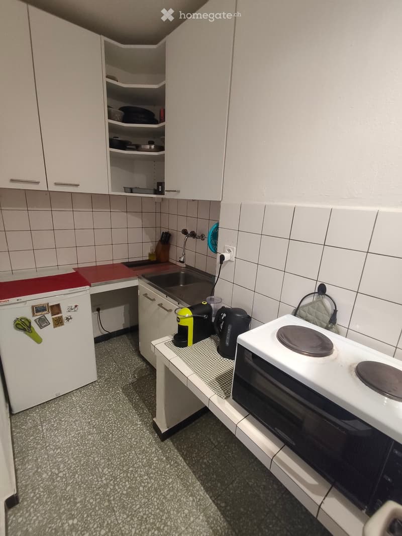 Cercasi subentrante - Monolocale a Locarno Città Vecchia (3)
