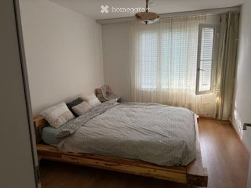 Möblierte Wohnung an Aare inkl. Auto  befristet bis Dez 26 (5)