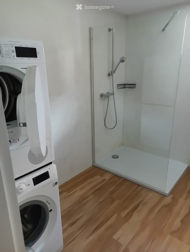 2.5 Zimmer-Wohnung am Heinzenberg (3)
