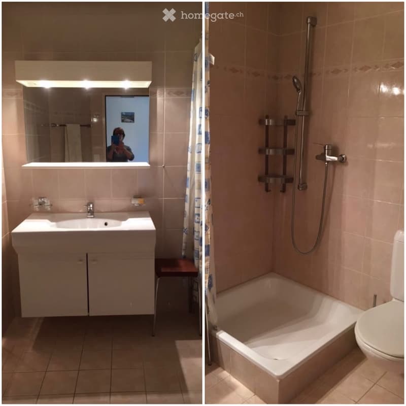 3.5-Zimmer-Wohnung mit traumhafter Bergsicht in Blatten (4)