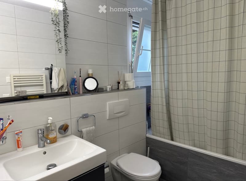 3.5-Zimmer-Wohnung in Bellikon mieten (4)