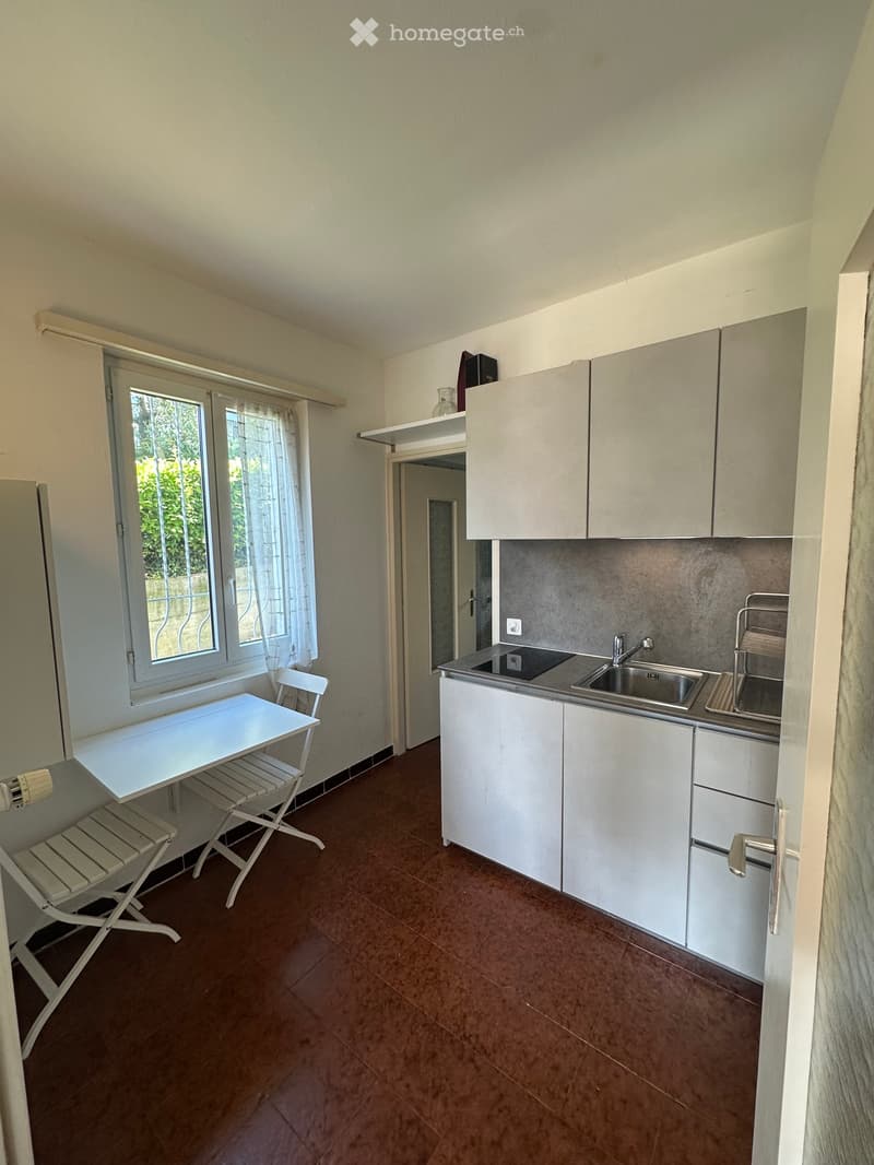 Cerco subentrante 1.5 locali a Pregassona (3)