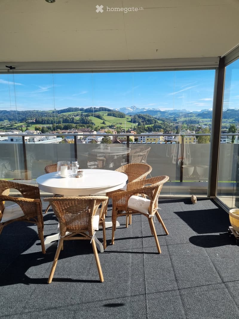 3.5-Zimmer-Attikawohnung mit grosser Terrasse (5)