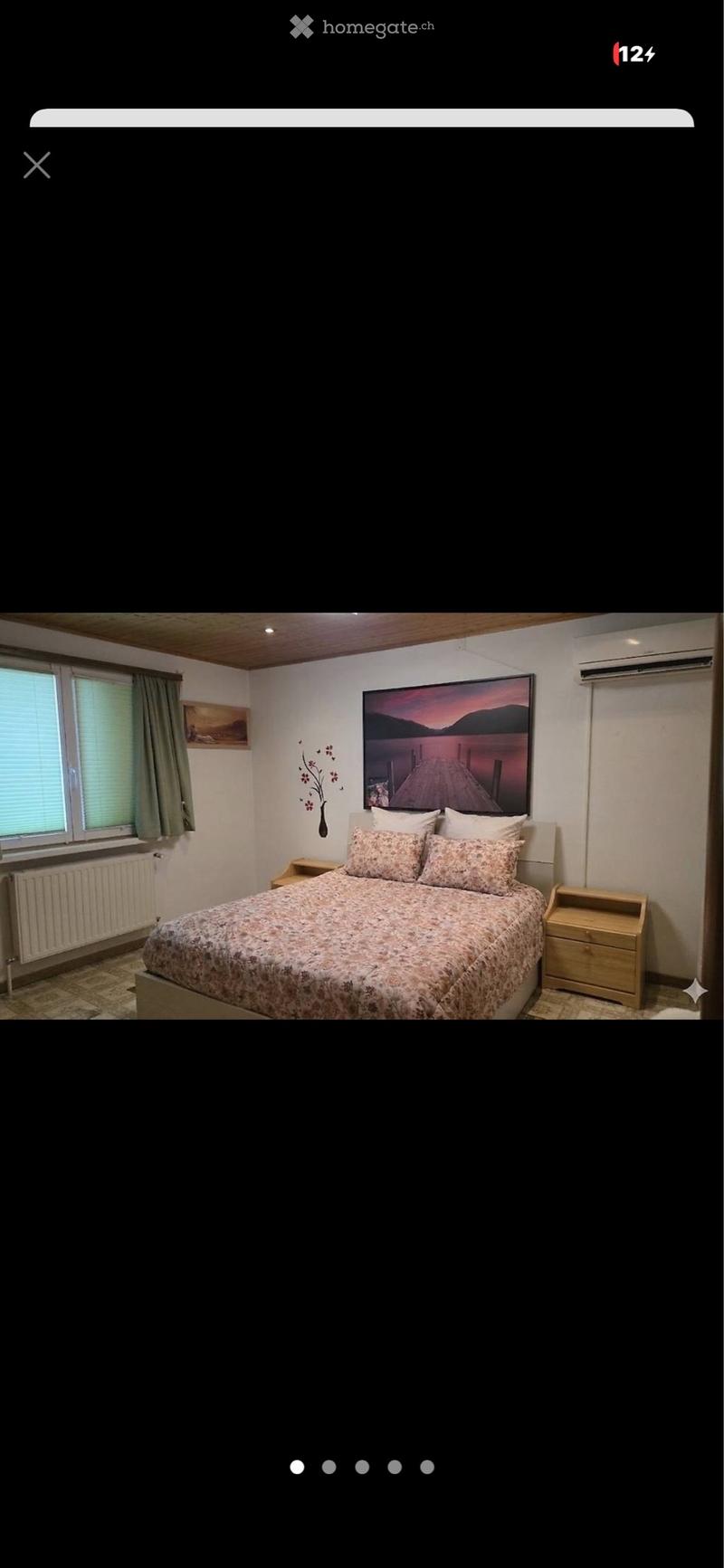 Affittasi casa monofamigliare (2)