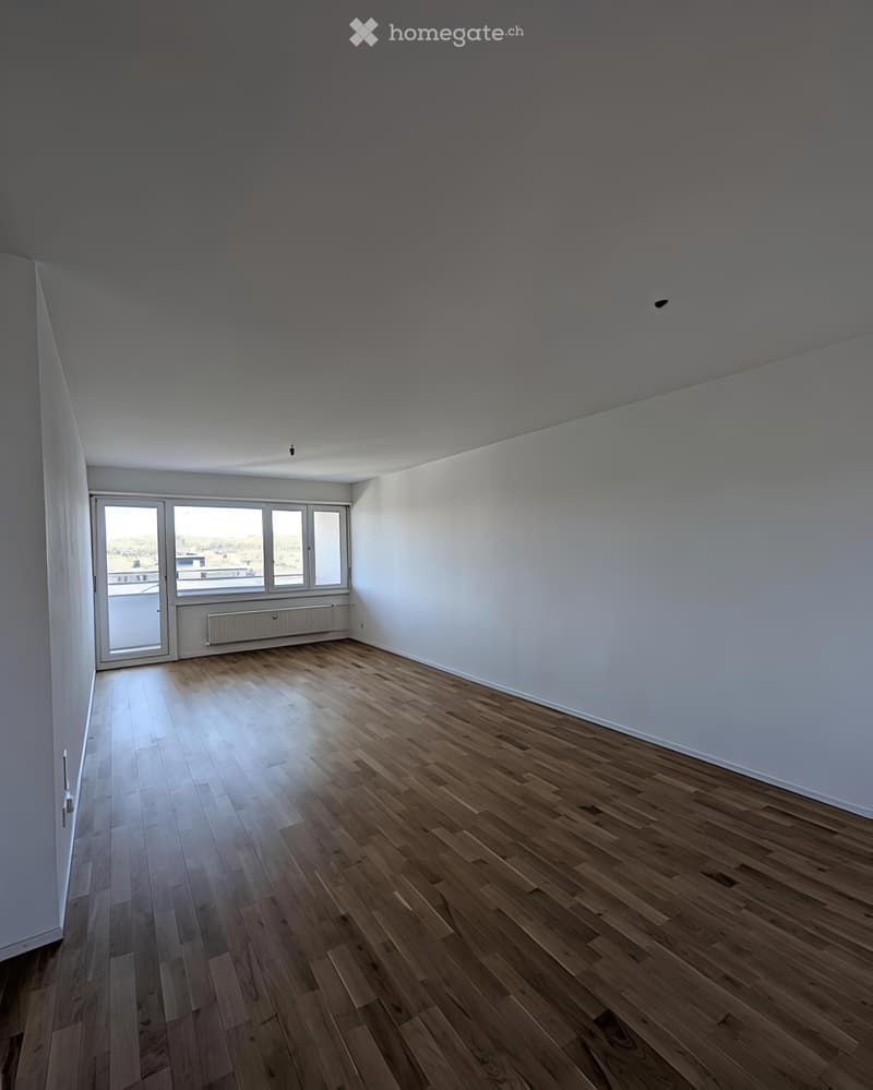 Neu renovierte 3.5-Zimmer-Wohnung in Biel (5)