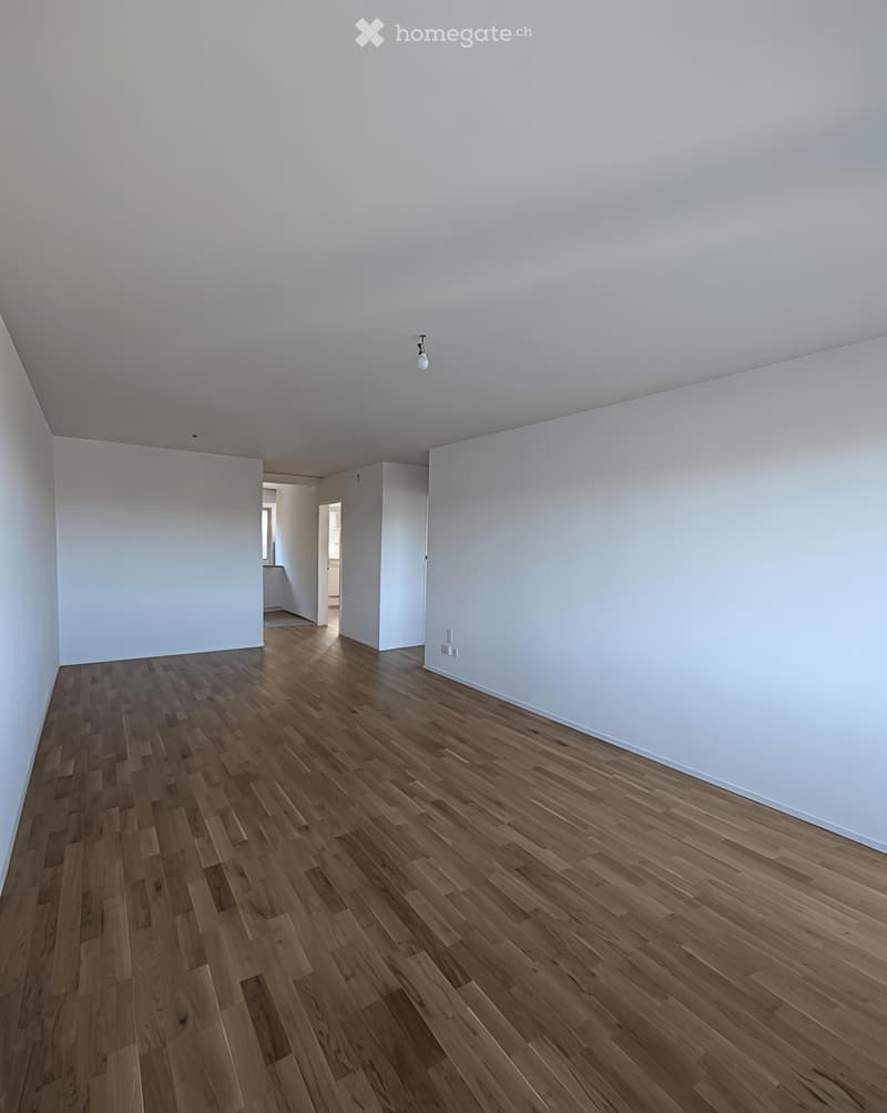 Neu renovierte 3.5-Zimmer-Wohnung in Biel (4)