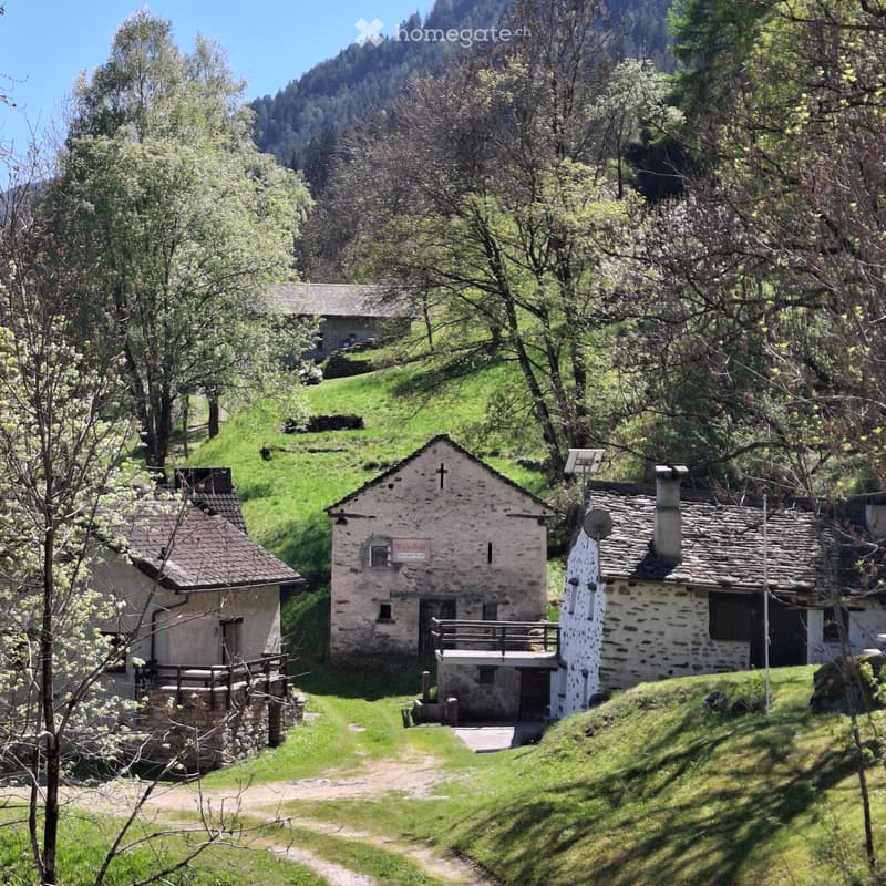 Rustico a Leontica (Valle Blenio) da ristrutt./zum Umbauen (4)
