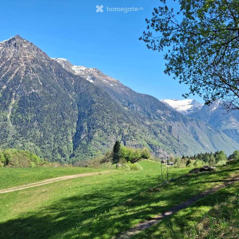 Rustico a Leontica (Valle Blenio) da ristrutt./zum Umbauen (5)