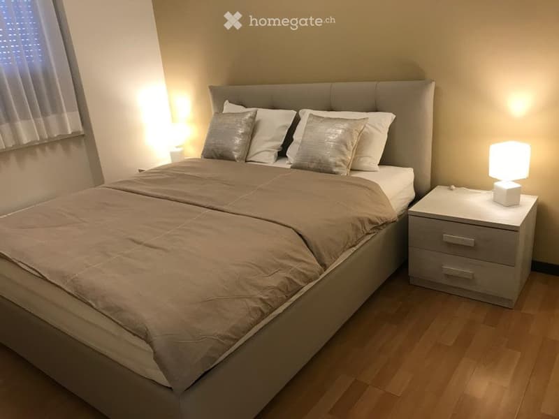 Moderno appartamento 2.5 locali con balcone a Lugano (5)