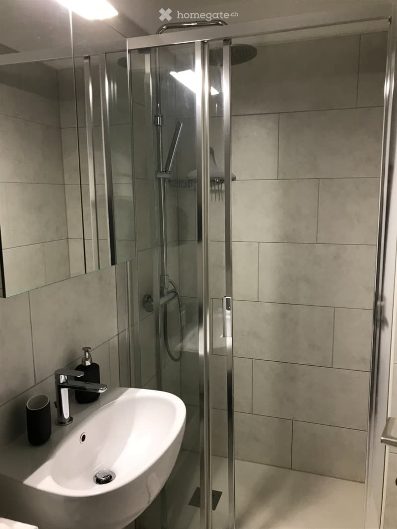 Moderno appartamento 2.5 locali con balcone a Lugano (4)