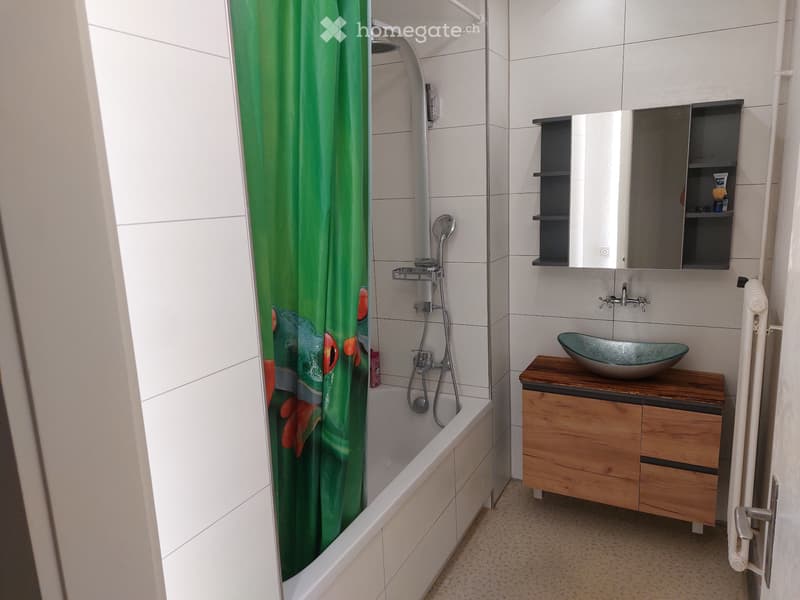 1 WG Zimmer 24'2m im grünen Adliswil mit Balkon (3)
