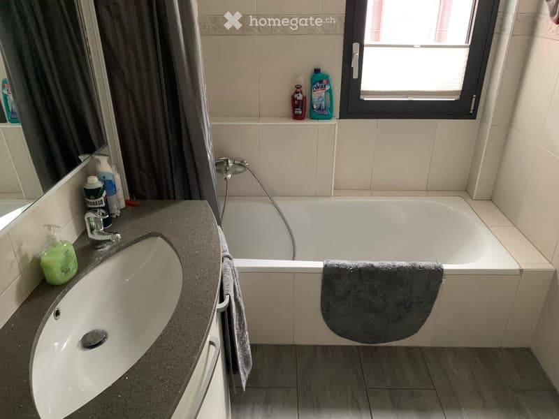 Tessinerhaus zu vermieten in Vira Gambarogno (4)