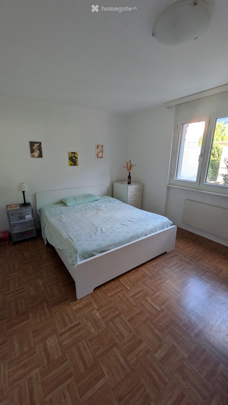 Subentrante 2.5 locali a Roveredo (4)
