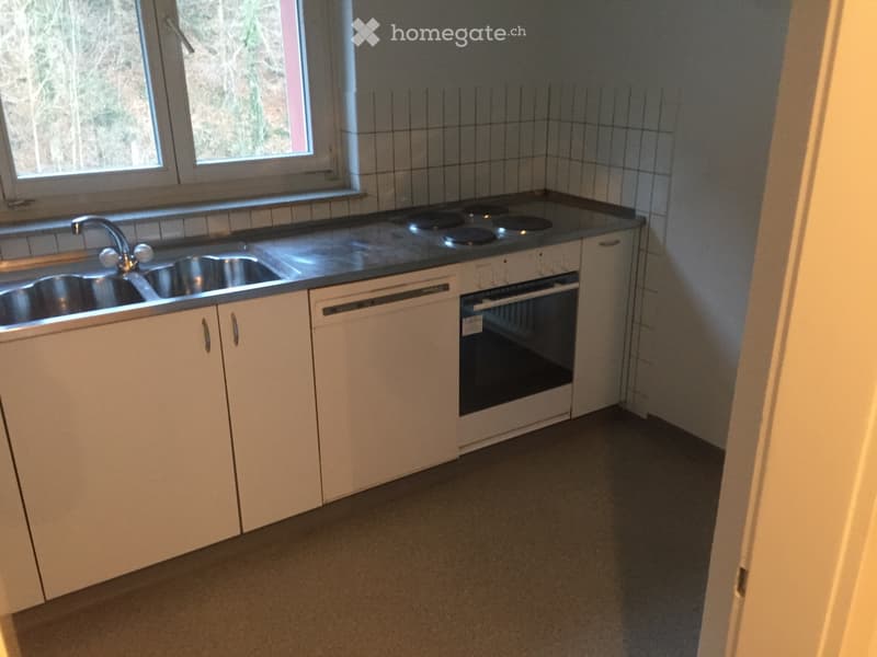 1 WG Zimmer 22'2m im grünen Adliswil mit Balkon per sofort (4)
