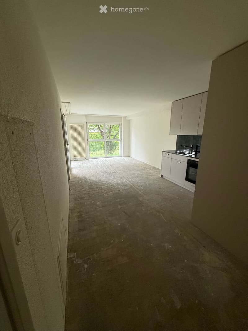 2,5 Zimmerwohnung zu vermieten (3)